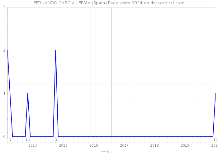 FERNANDO GARCIA LERMA (Spain) Page visits 2024 