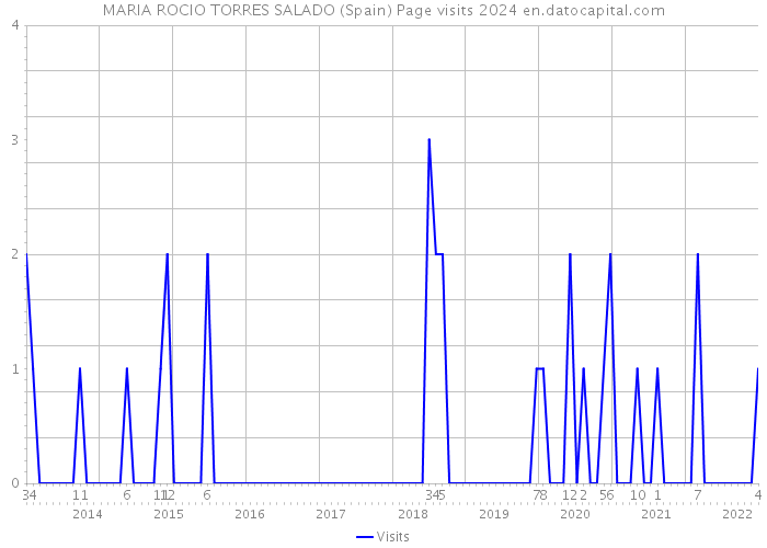 MARIA ROCIO TORRES SALADO (Spain) Page visits 2024 