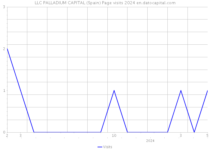 LLC PALLADIUM CAPITAL (Spain) Page visits 2024 