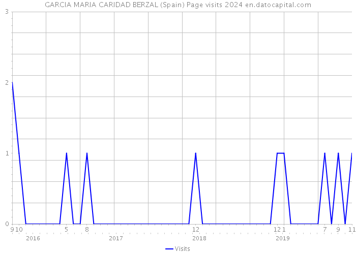 GARCIA MARIA CARIDAD BERZAL (Spain) Page visits 2024 