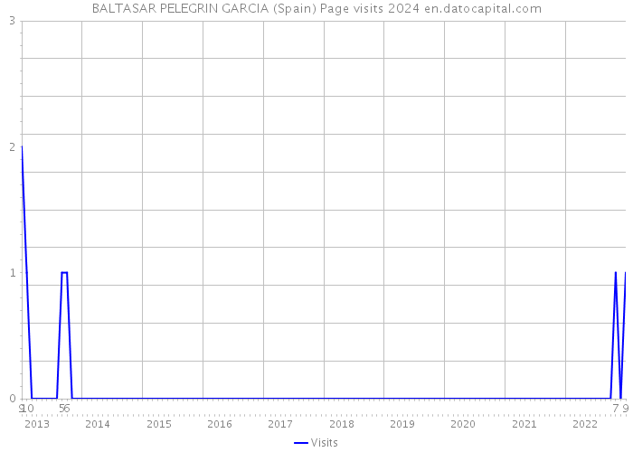 BALTASAR PELEGRIN GARCIA (Spain) Page visits 2024 