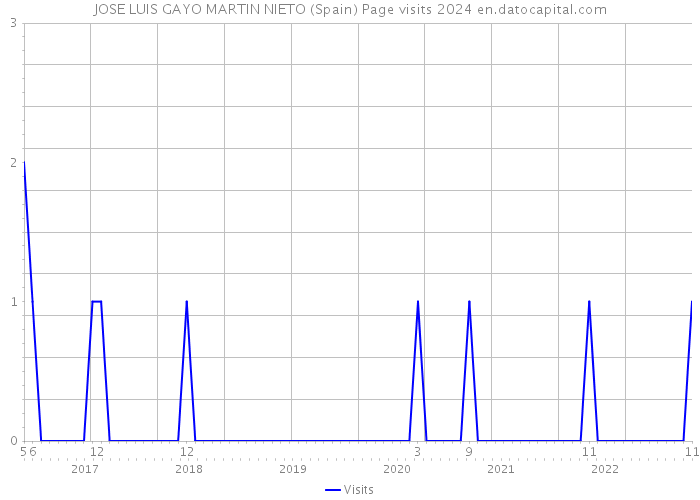 JOSE LUIS GAYO MARTIN NIETO (Spain) Page visits 2024 