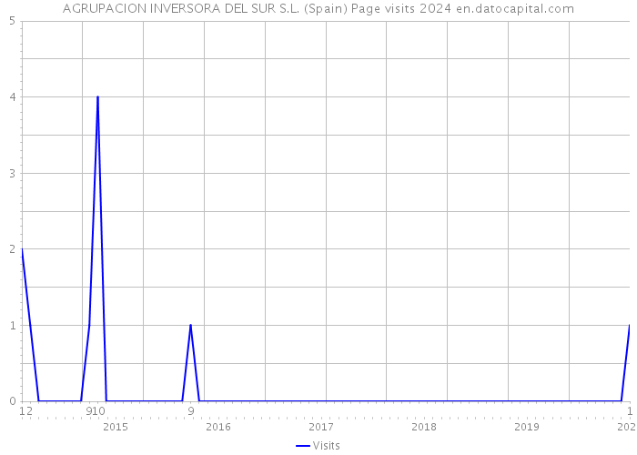 AGRUPACION INVERSORA DEL SUR S.L. (Spain) Page visits 2024 
