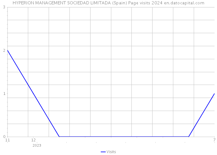 HYPERION MANAGEMENT SOCIEDAD LIMITADA (Spain) Page visits 2024 