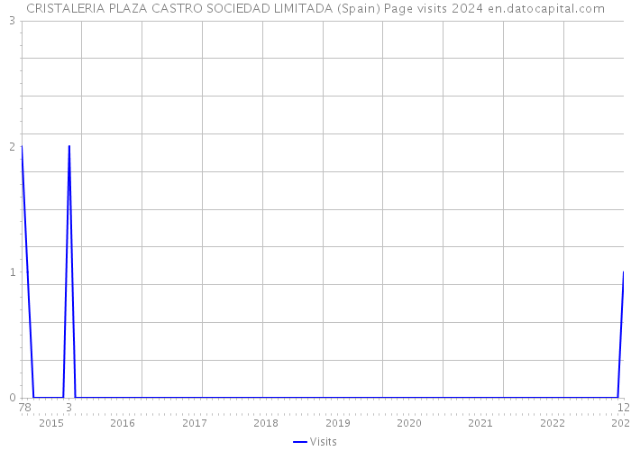 CRISTALERIA PLAZA CASTRO SOCIEDAD LIMITADA (Spain) Page visits 2024 