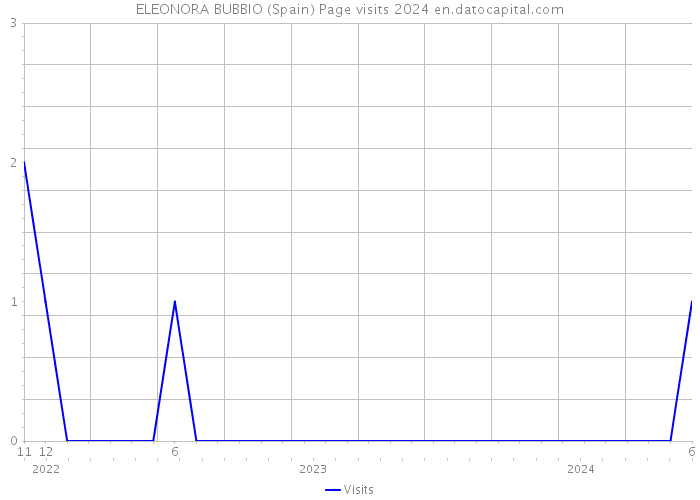 ELEONORA BUBBIO (Spain) Page visits 2024 