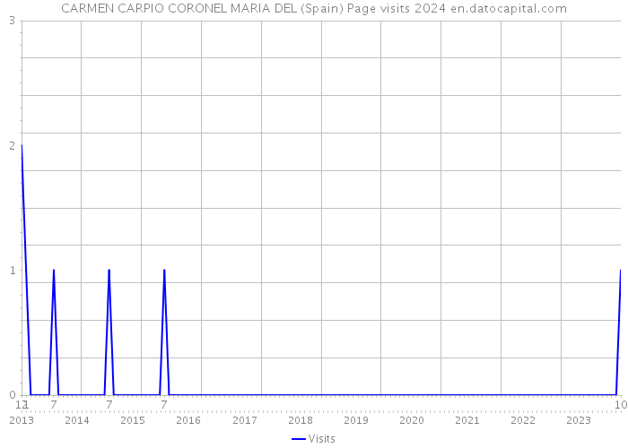CARMEN CARPIO CORONEL MARIA DEL (Spain) Page visits 2024 