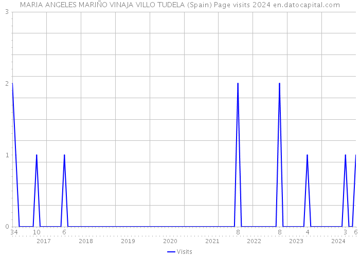 MARIA ANGELES MARIÑO VINAJA VILLO TUDELA (Spain) Page visits 2024 
