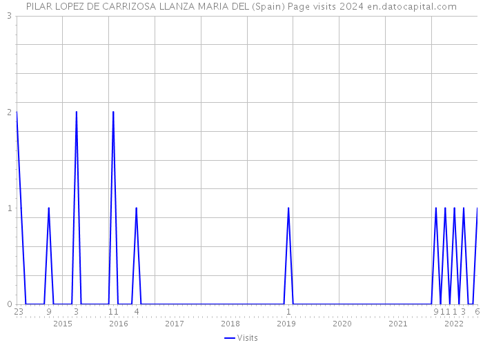 PILAR LOPEZ DE CARRIZOSA LLANZA MARIA DEL (Spain) Page visits 2024 
