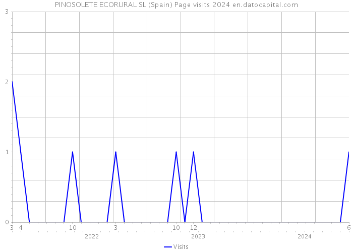 PINOSOLETE ECORURAL SL (Spain) Page visits 2024 