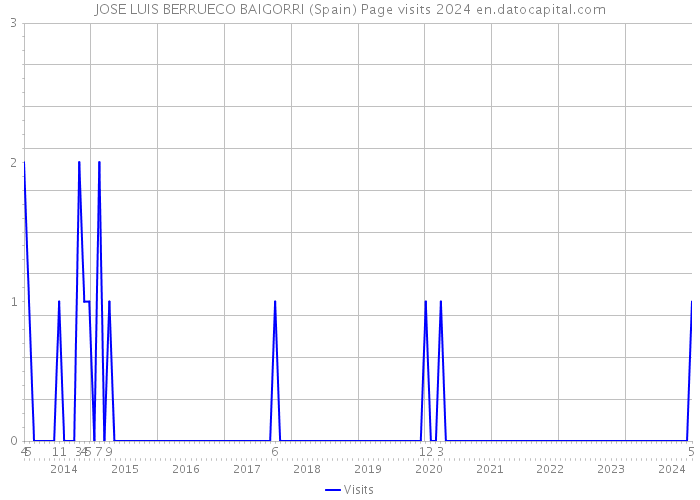 JOSE LUIS BERRUECO BAIGORRI (Spain) Page visits 2024 