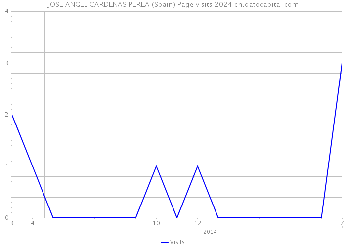 JOSE ANGEL CARDENAS PEREA (Spain) Page visits 2024 