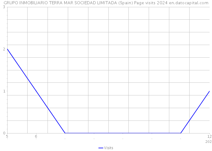 GRUPO INMOBILIARIO TERRA MAR SOCIEDAD LIMITADA (Spain) Page visits 2024 