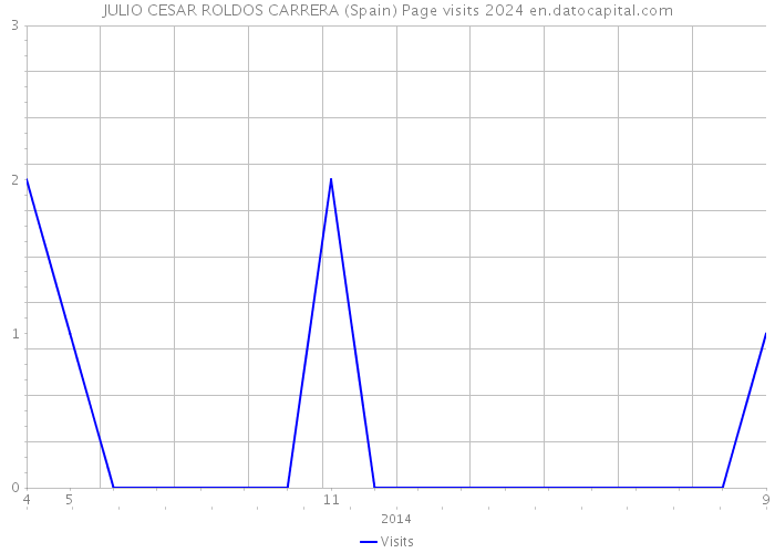 JULIO CESAR ROLDOS CARRERA (Spain) Page visits 2024 
