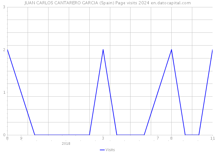JUAN CARLOS CANTARERO GARCIA (Spain) Page visits 2024 