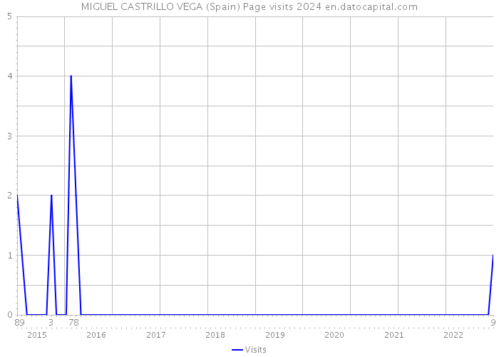 MIGUEL CASTRILLO VEGA (Spain) Page visits 2024 