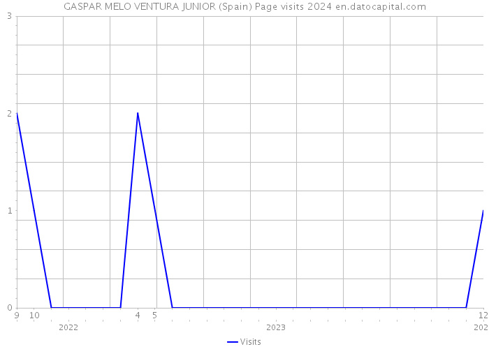 GASPAR MELO VENTURA JUNIOR (Spain) Page visits 2024 