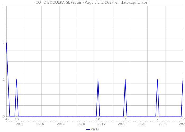 COTO BOQUERA SL (Spain) Page visits 2024 