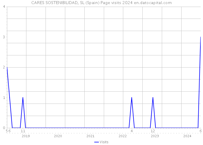 CARES SOSTENIBILIDAD, SL (Spain) Page visits 2024 