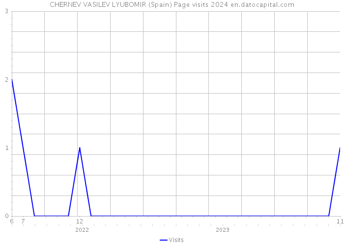 CHERNEV VASILEV LYUBOMIR (Spain) Page visits 2024 