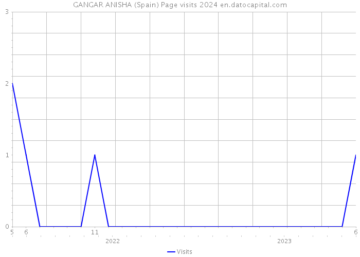 GANGAR ANISHA (Spain) Page visits 2024 