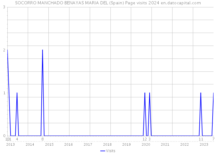 SOCORRO MANCHADO BENAYAS MARIA DEL (Spain) Page visits 2024 