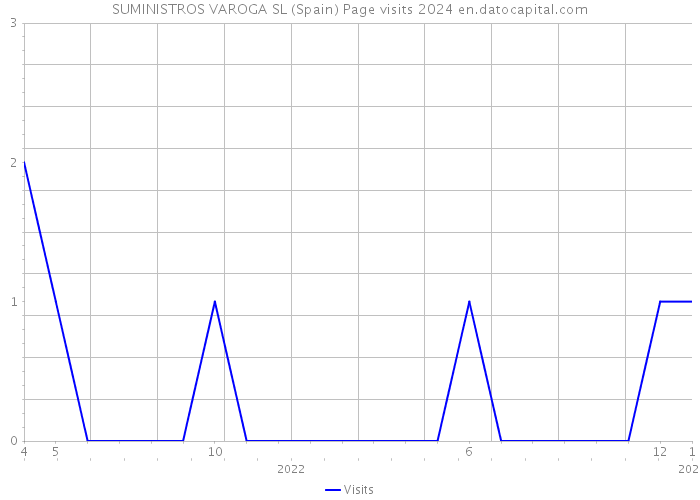 SUMINISTROS VAROGA SL (Spain) Page visits 2024 