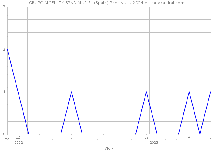GRUPO MOBILITY SPADIMUR SL (Spain) Page visits 2024 