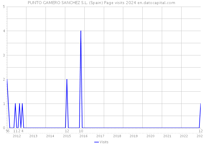 PUNTO GAMERO SANCHEZ S.L. (Spain) Page visits 2024 