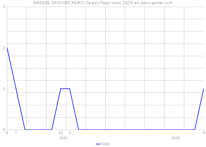MANUEL SANCHEZ MURO (Spain) Page visits 2024 