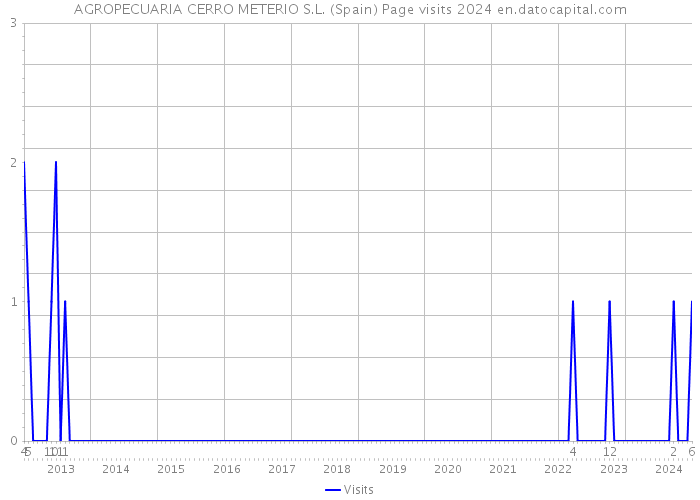 AGROPECUARIA CERRO METERIO S.L. (Spain) Page visits 2024 