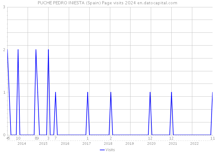 PUCHE PEDRO INIESTA (Spain) Page visits 2024 