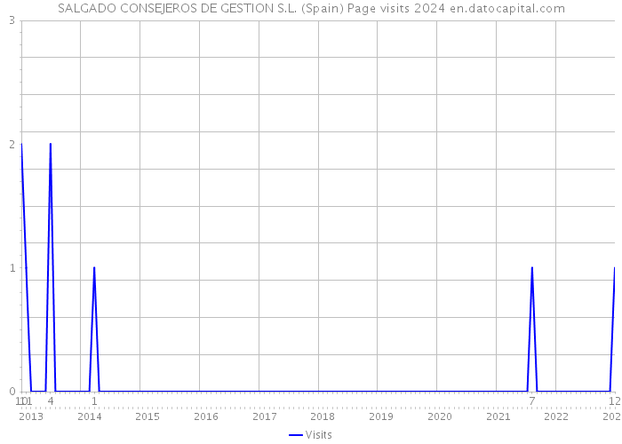 SALGADO CONSEJEROS DE GESTION S.L. (Spain) Page visits 2024 