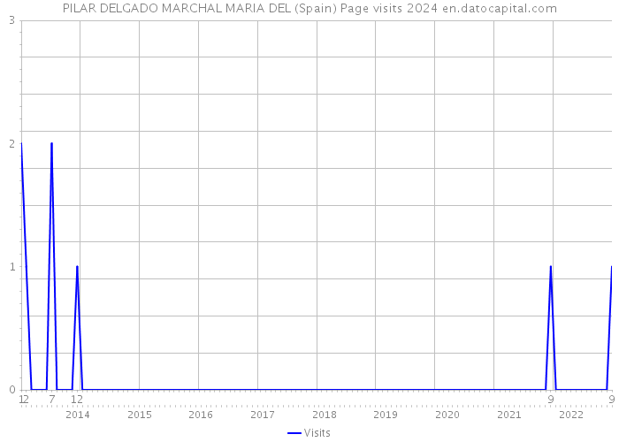 PILAR DELGADO MARCHAL MARIA DEL (Spain) Page visits 2024 