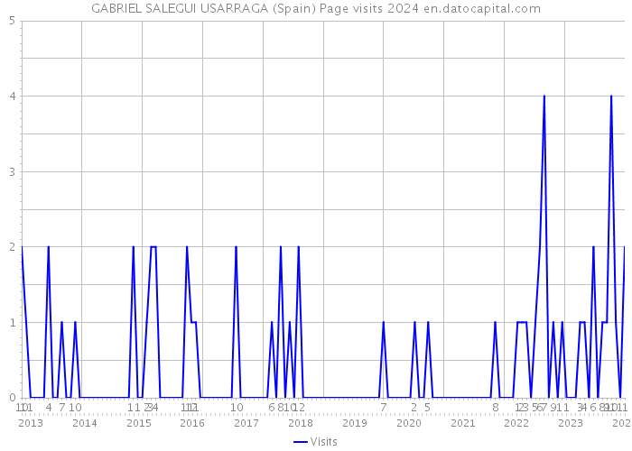 GABRIEL SALEGUI USARRAGA (Spain) Page visits 2024 