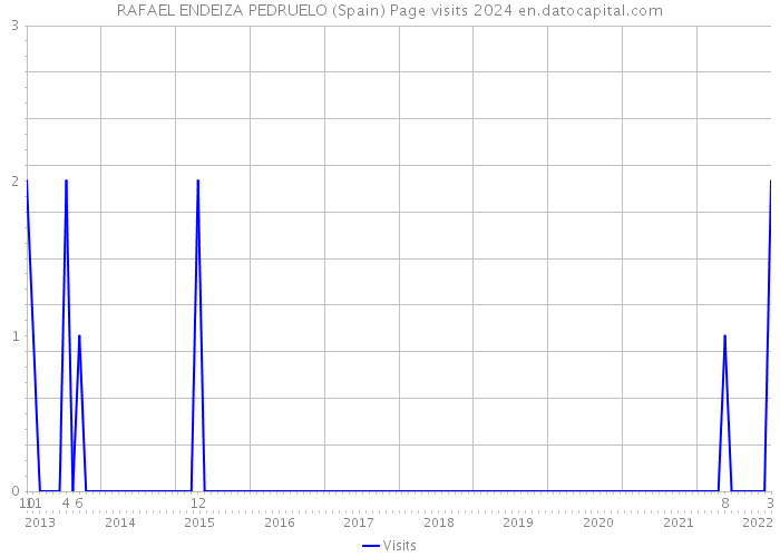 RAFAEL ENDEIZA PEDRUELO (Spain) Page visits 2024 