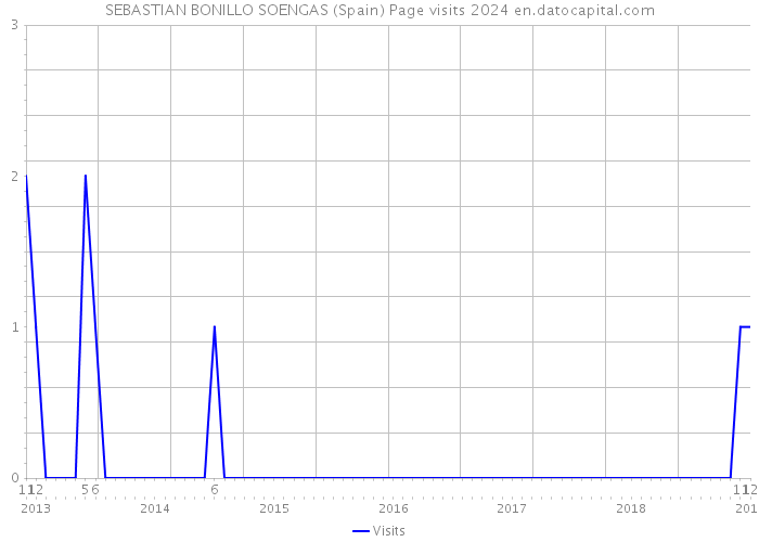 SEBASTIAN BONILLO SOENGAS (Spain) Page visits 2024 