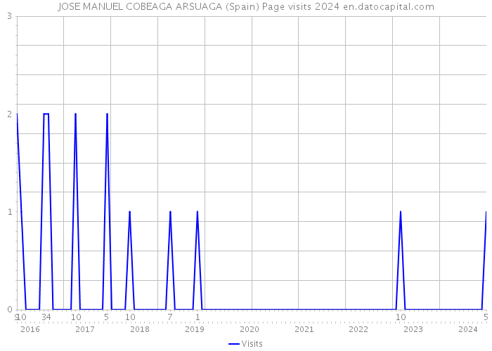 JOSE MANUEL COBEAGA ARSUAGA (Spain) Page visits 2024 