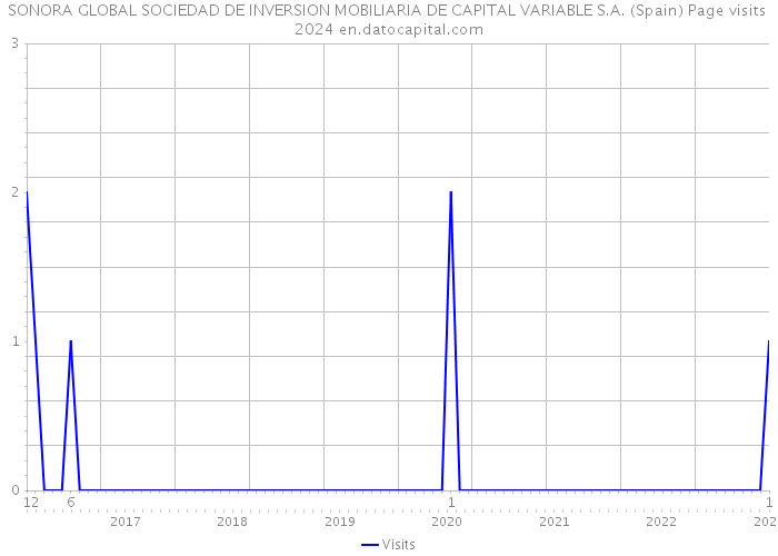SONORA GLOBAL SOCIEDAD DE INVERSION MOBILIARIA DE CAPITAL VARIABLE S.A. (Spain) Page visits 2024 