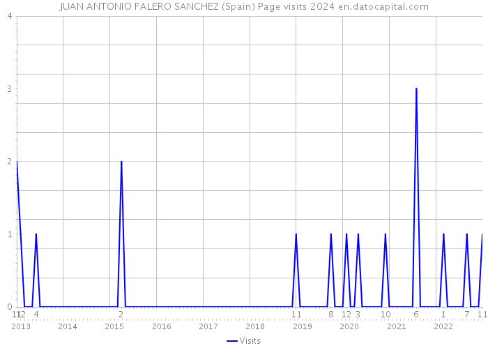 JUAN ANTONIO FALERO SANCHEZ (Spain) Page visits 2024 
