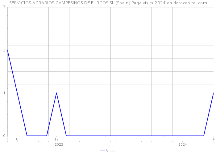 SERVICIOS AGRARIOS CAMPESINOS DE BURGOS SL (Spain) Page visits 2024 