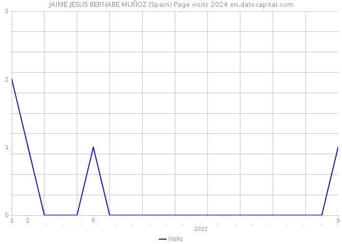 JAIME JESUS BERNABE MUÑOZ (Spain) Page visits 2024 