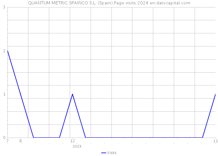 QUANTUM METRIC SPAINCO S.L. (Spain) Page visits 2024 