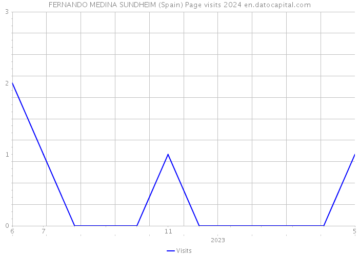 FERNANDO MEDINA SUNDHEIM (Spain) Page visits 2024 