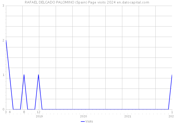 RAFAEL DELGADO PALOMINO (Spain) Page visits 2024 