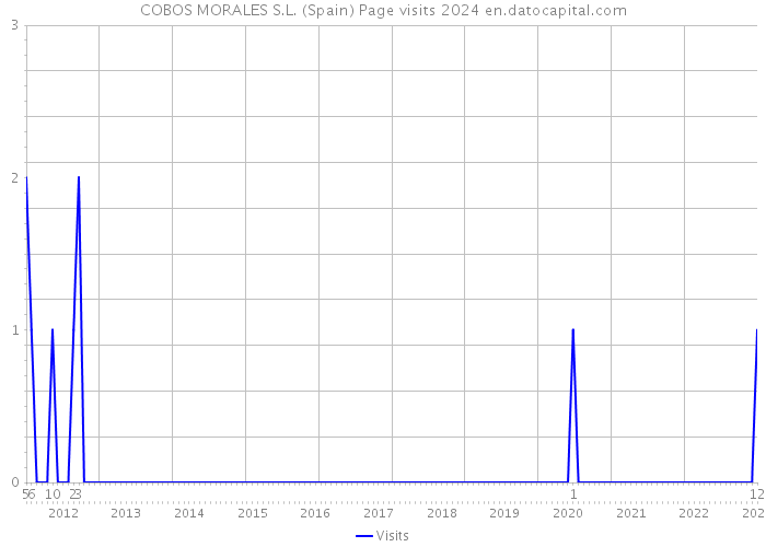 COBOS MORALES S.L. (Spain) Page visits 2024 