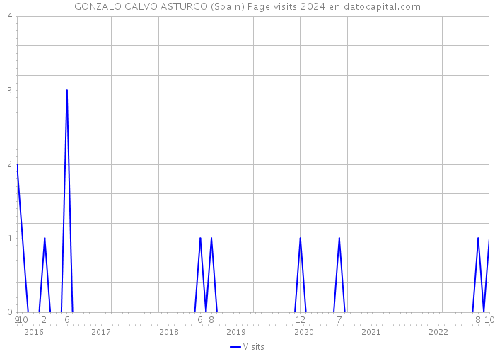 GONZALO CALVO ASTURGO (Spain) Page visits 2024 