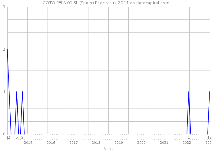 COTO PELAYO SL (Spain) Page visits 2024 