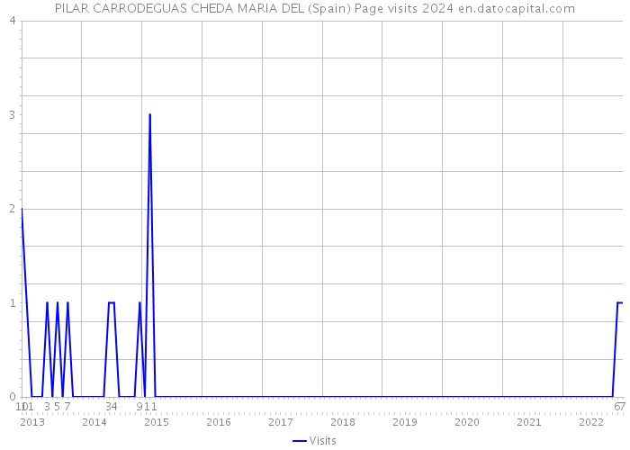 PILAR CARRODEGUAS CHEDA MARIA DEL (Spain) Page visits 2024 