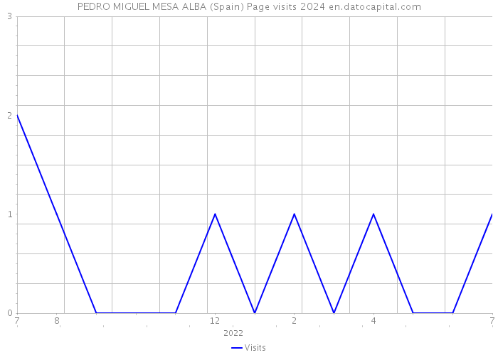 PEDRO MIGUEL MESA ALBA (Spain) Page visits 2024 
